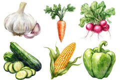 Vegetables Clipart Bundle 2 - CraftNest - Digital Crafting and Art