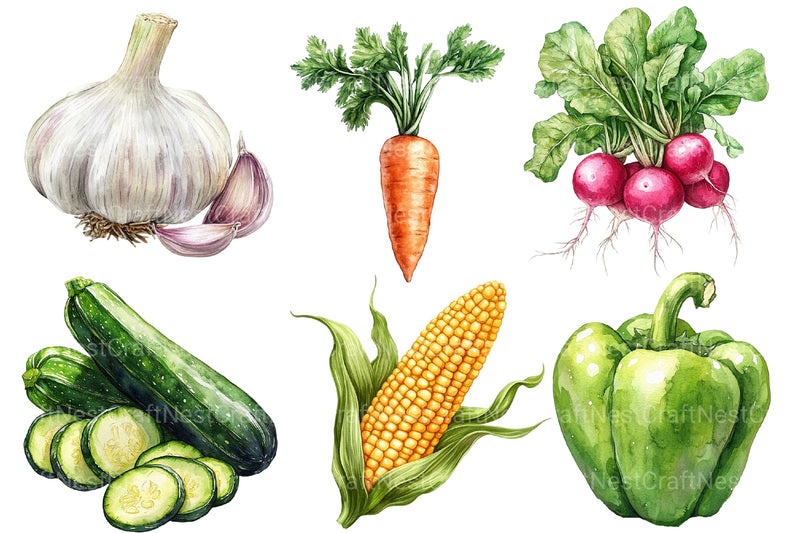 Vegetables Clipart Bundle 2 - CraftNest - Digital Crafting and Art