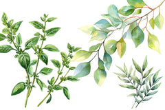 Green Summer Foliage Clipart Bundle - CraftNest - Digital Crafting and Art