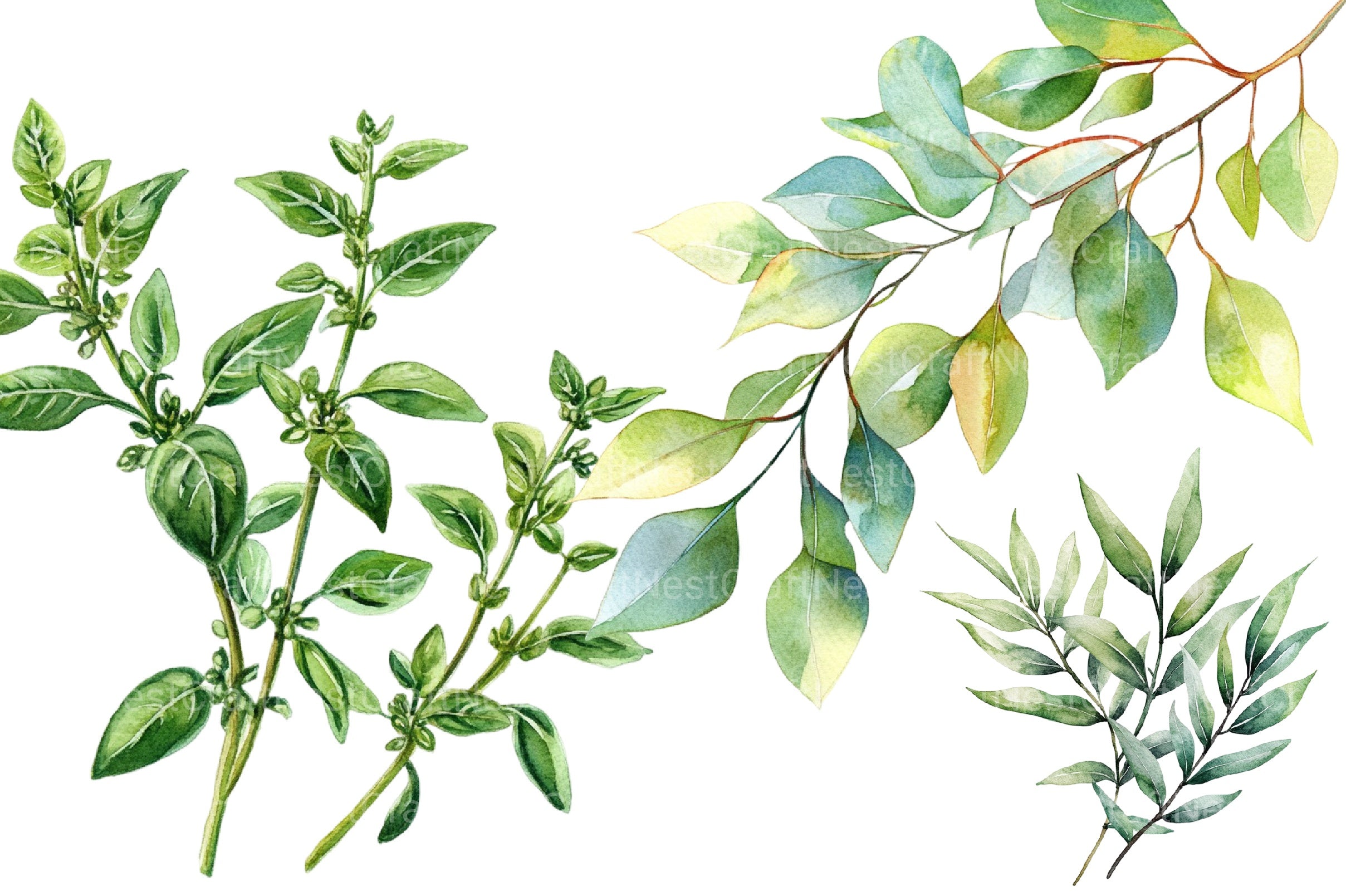 Green Summer Foliage Clipart Bundle - CraftNest - Digital Crafting and Art