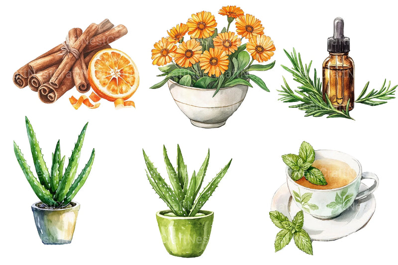 Natural Remedies Clipart Bundle 2 - CraftNest - Digital Crafting and Art
