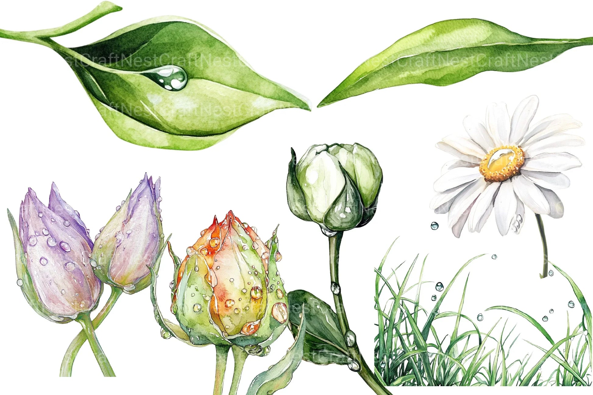 Spring Water Droplets Clipart Bundle 2 - CraftNest - Digital Crafting and Art