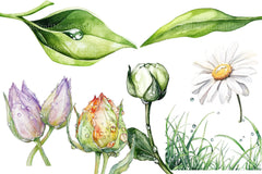 Spring Water Droplets Clipart Bundle 2 - CraftNest - Digital Crafting and Art