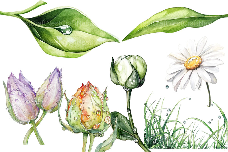 Spring Water Droplets Clipart Bundle 2 - CraftNest - Digital Crafting and Art