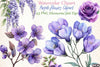 Purple Flowers Clipart Bundle 1