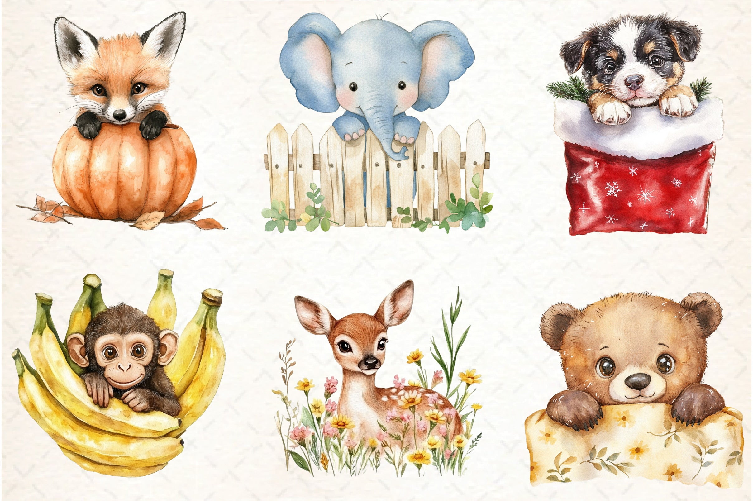 Funny Cute Animal Peeking Clipart Bundle