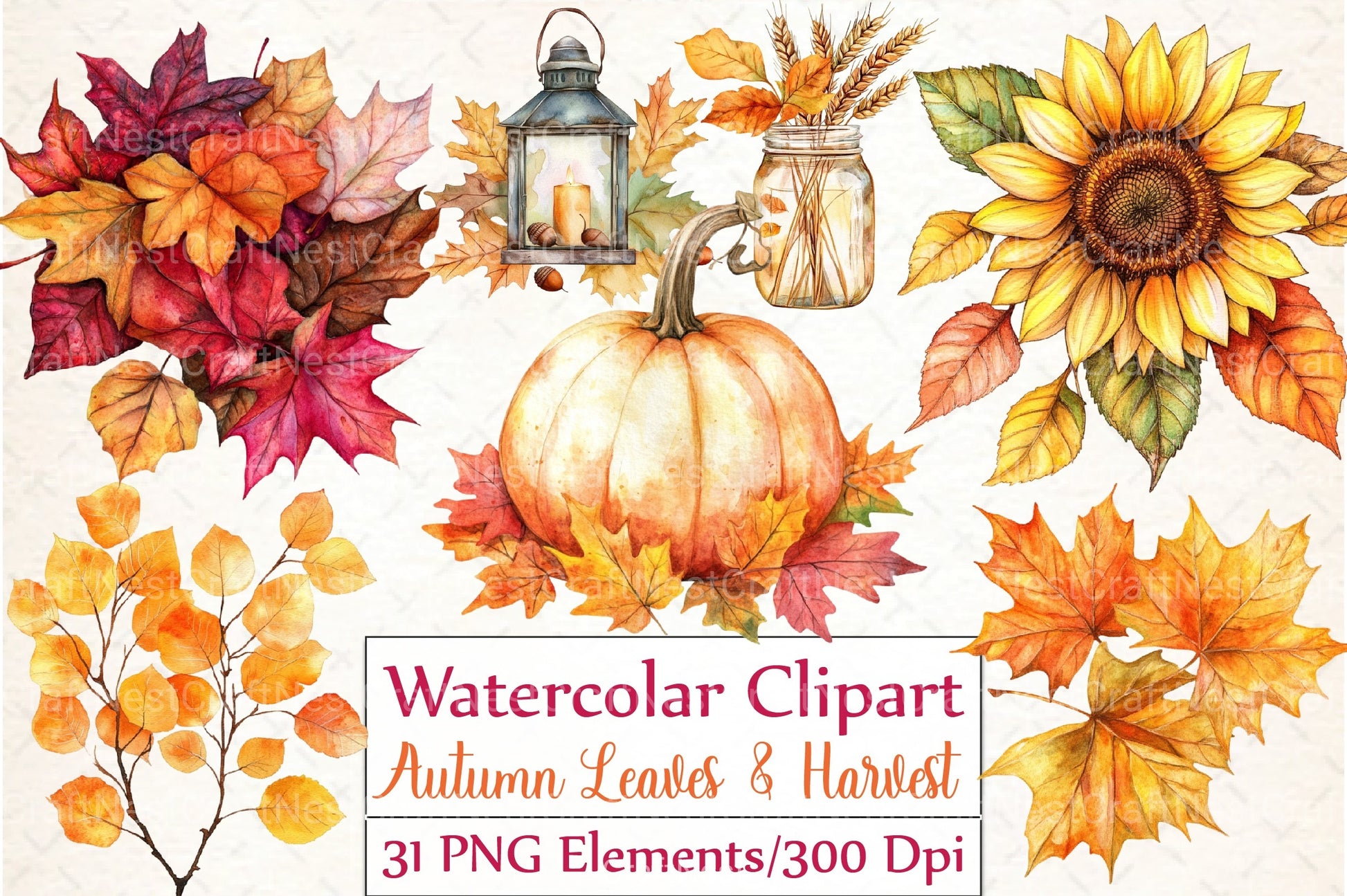 Autumn Leaves & Harvest Clipart Bundle - CraftNest - Digital Crafting and Art