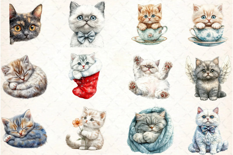 Selkirk Rex Cat Clipart Bundle - CraftNest - Digital Crafting and Art