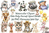 Boho Baby Animals Clipart Bundle