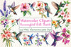 Hummingbird and Flowers Clipart Bundle