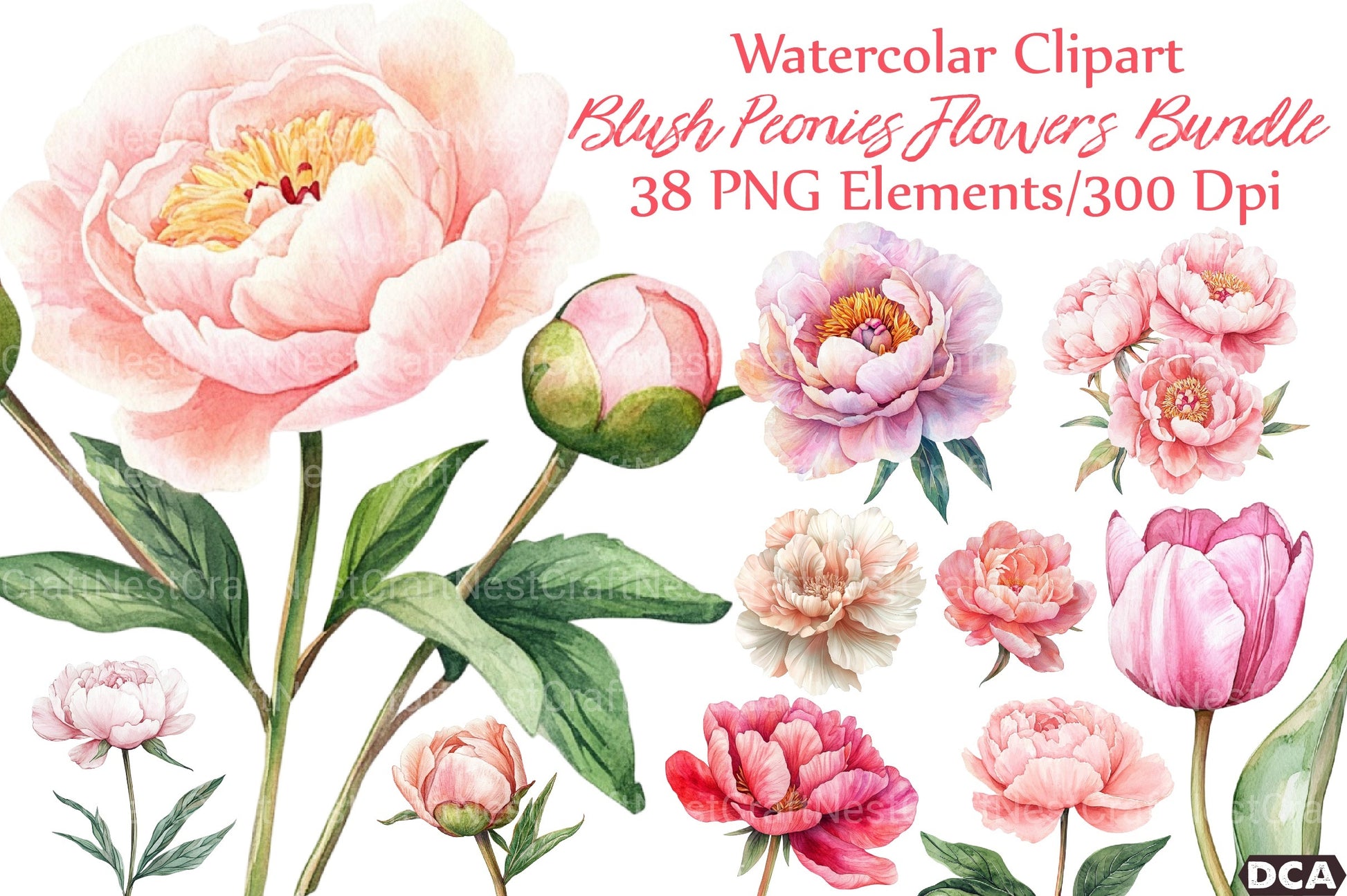 Blush Peonies Flowers Clipart Bundle - CraftNest - Digital Crafting and Art