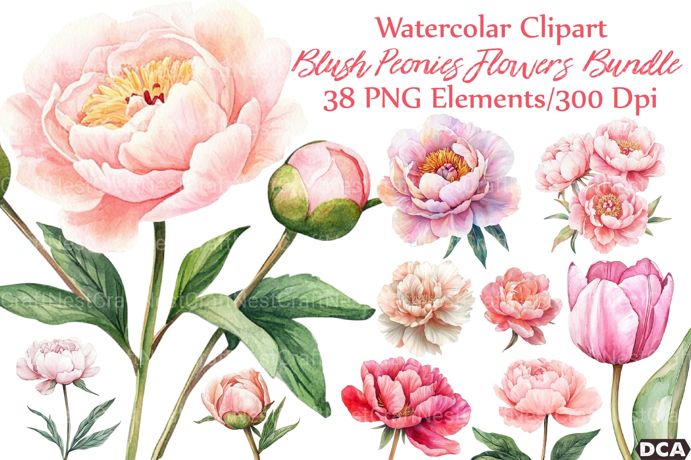 Blush Peonies Flowers Clipart Bundle - CraftNest - Digital Crafting and Art