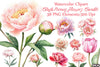 Blush Peonies Flowers Clipart Bundle