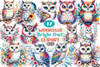 Bright Owl Clipart Bundle 6