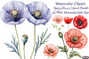 Poppy Flowers Clipart Bundle 888