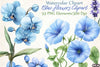 Blue Flowers Clipart Bundle