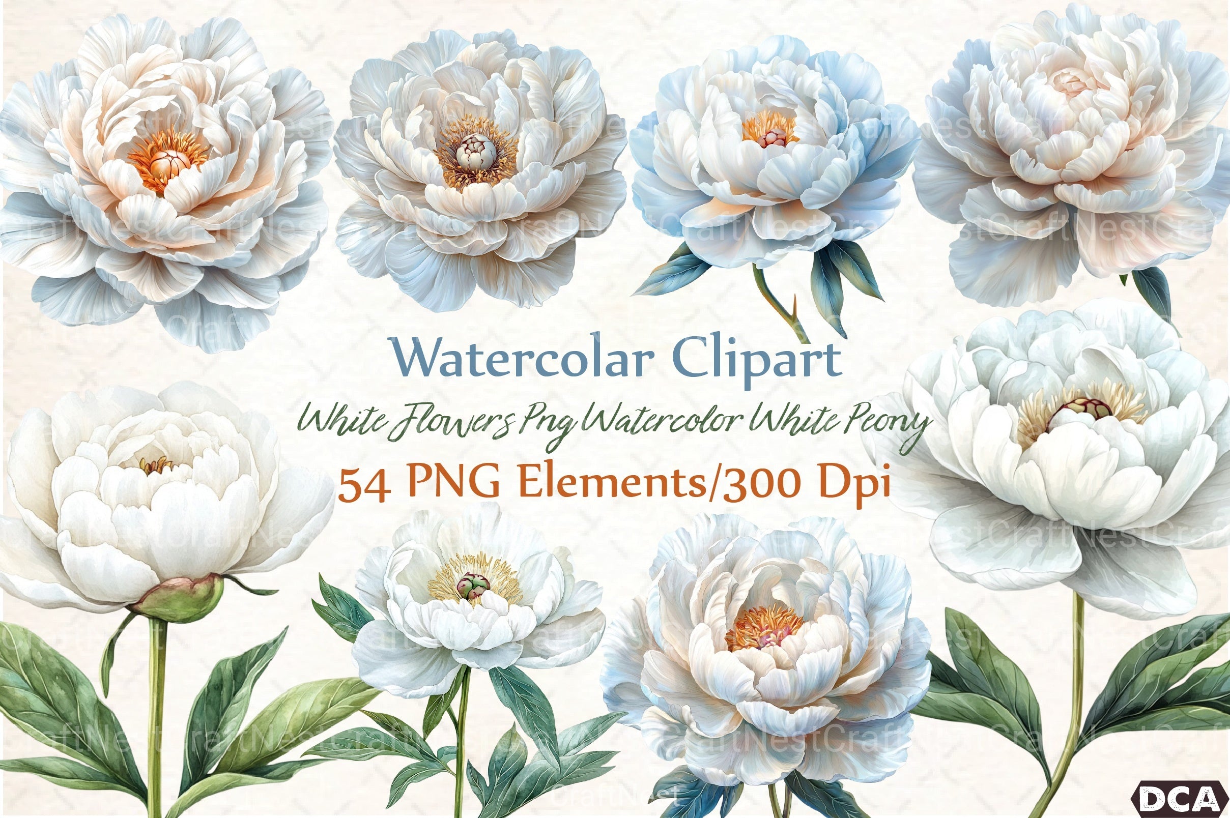 White Peony Flowers Clipart Bundle - CraftNest - Digital Crafting and Art