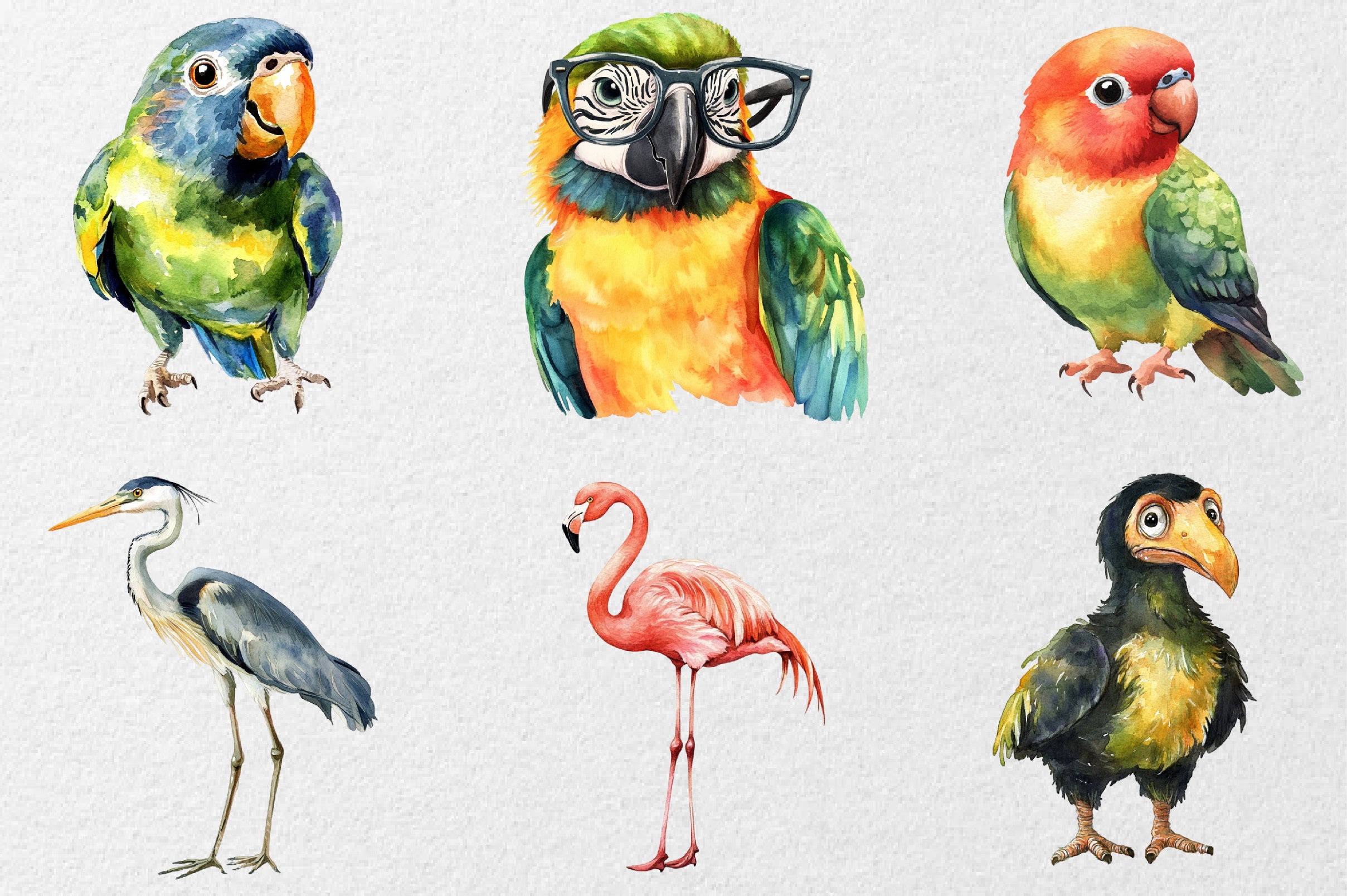 Funny Birds Clipart Collection Bundle