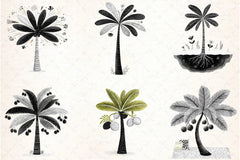 Tropical Palm Trees Clipart Bundle - CraftNest - Digital Crafting and Art