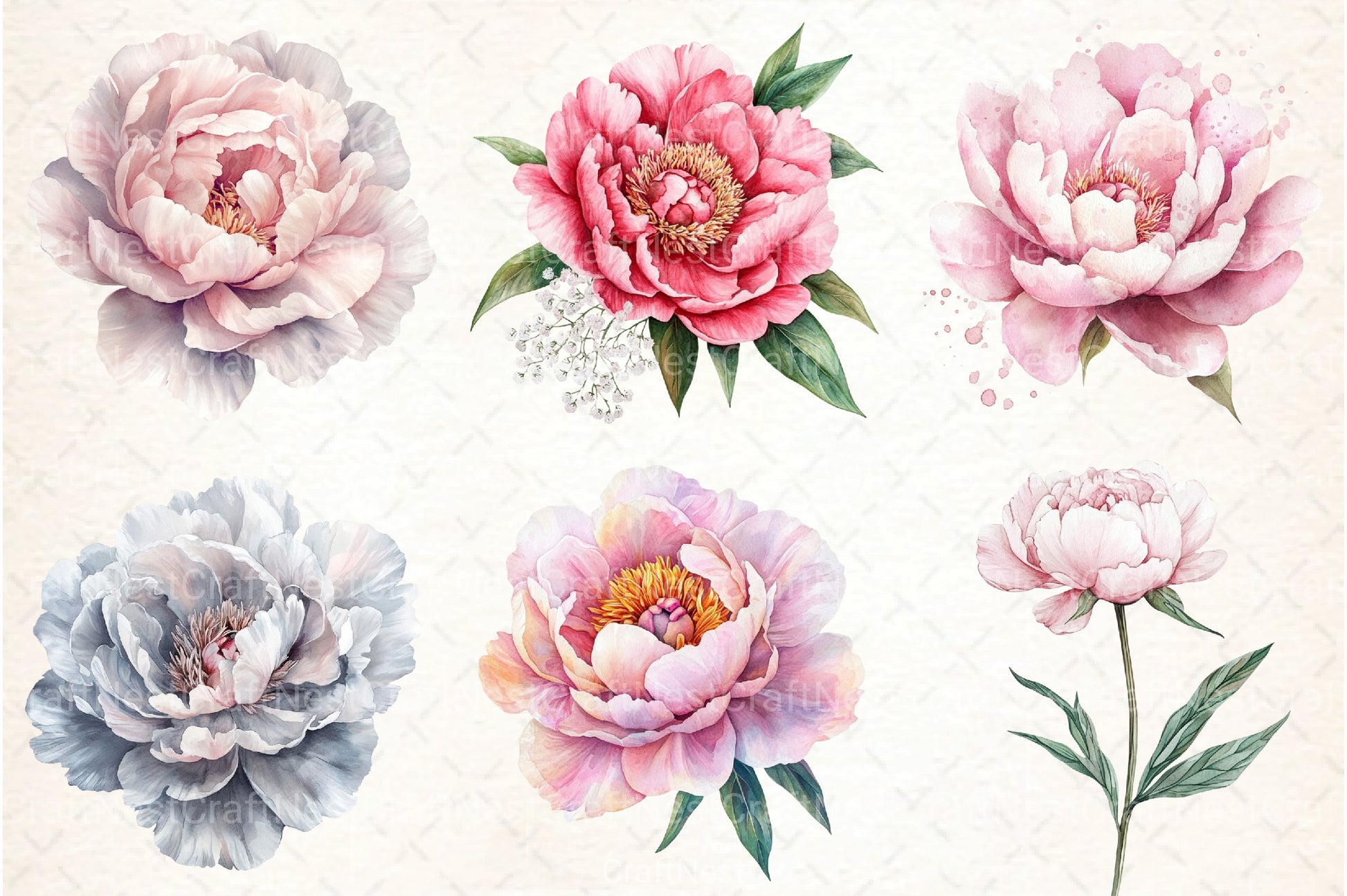 Blush Peonies Flowers Clipart Bundle - CraftNest - Digital Crafting and Art