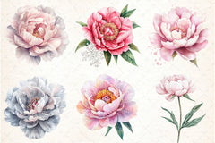 Blush Peonies Flowers Clipart Bundle - CraftNest - Digital Crafting and Art