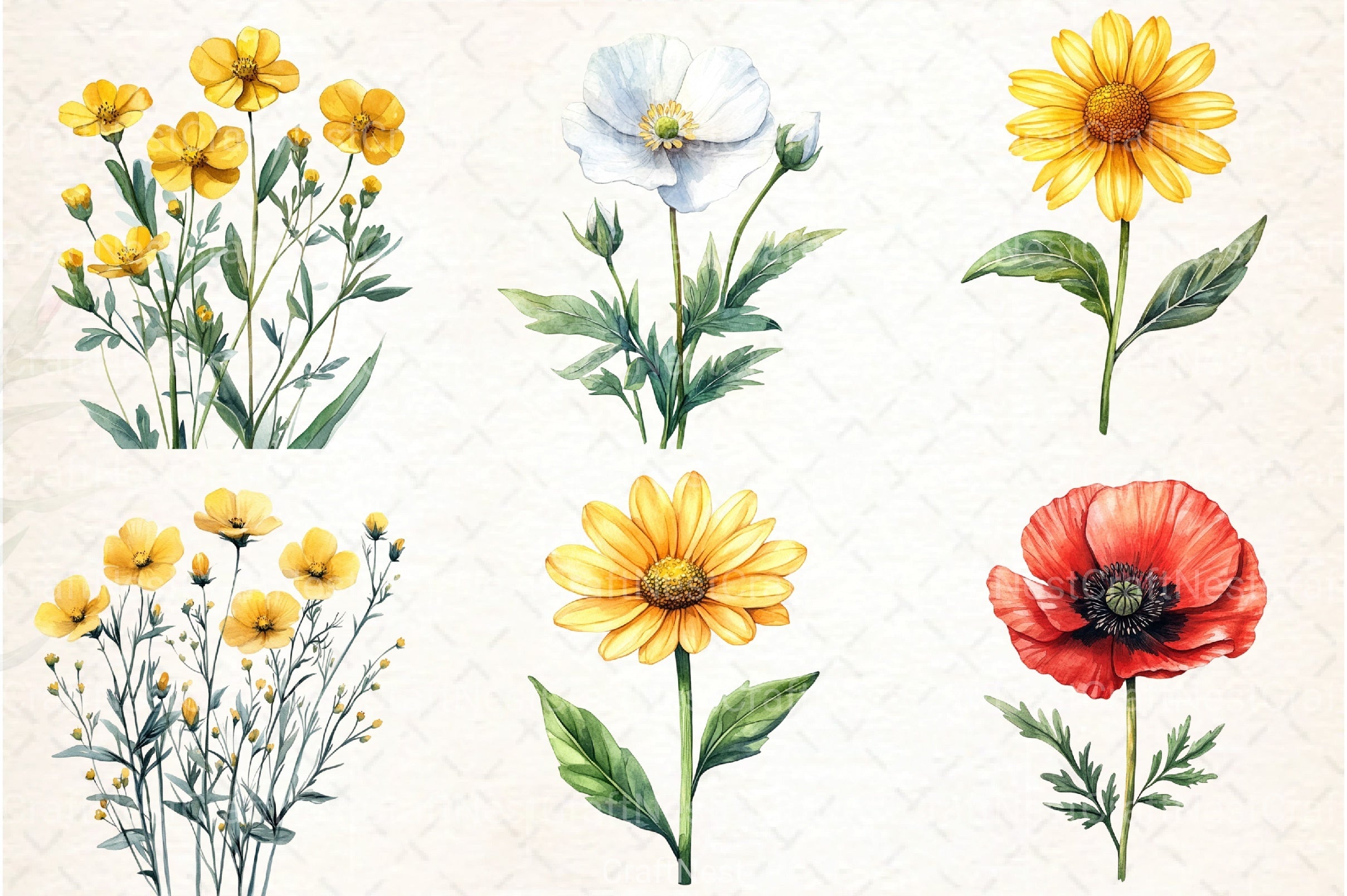 Wild Flowers Clipart Bundle - CraftNest - Digital Crafting and Art