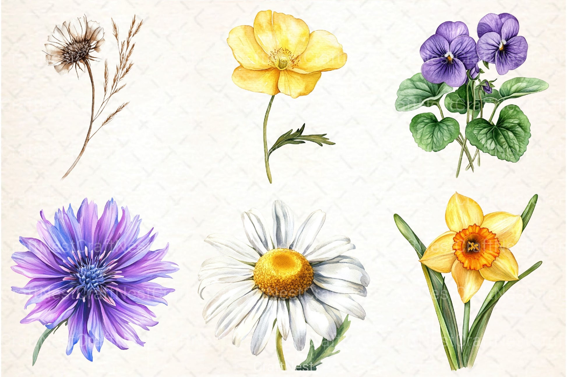 Wild Flowers Clipart Bundle 132 - CraftNest - Digital Crafting and Art