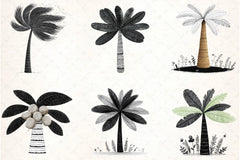 Tropical Palm Trees Clipart Bundle - CraftNest - Digital Crafting and Art