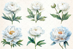 White Peony Flowers Clipart Bundle - CraftNest - Digital Crafting and Art