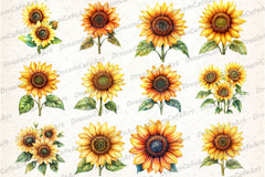 Yellow Sunflower Flowers Clipart Bundle - CraftNest - Digital Crafting and Art