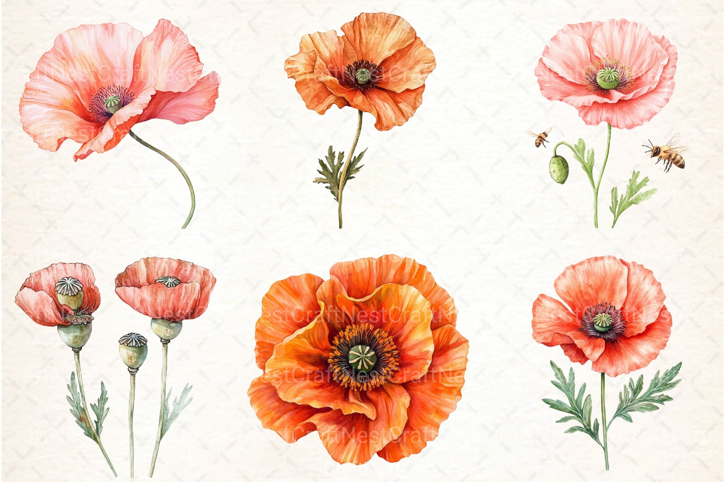Poppy Flowers Clipart Bundle 888 - CraftNest - Digital Crafting and Art