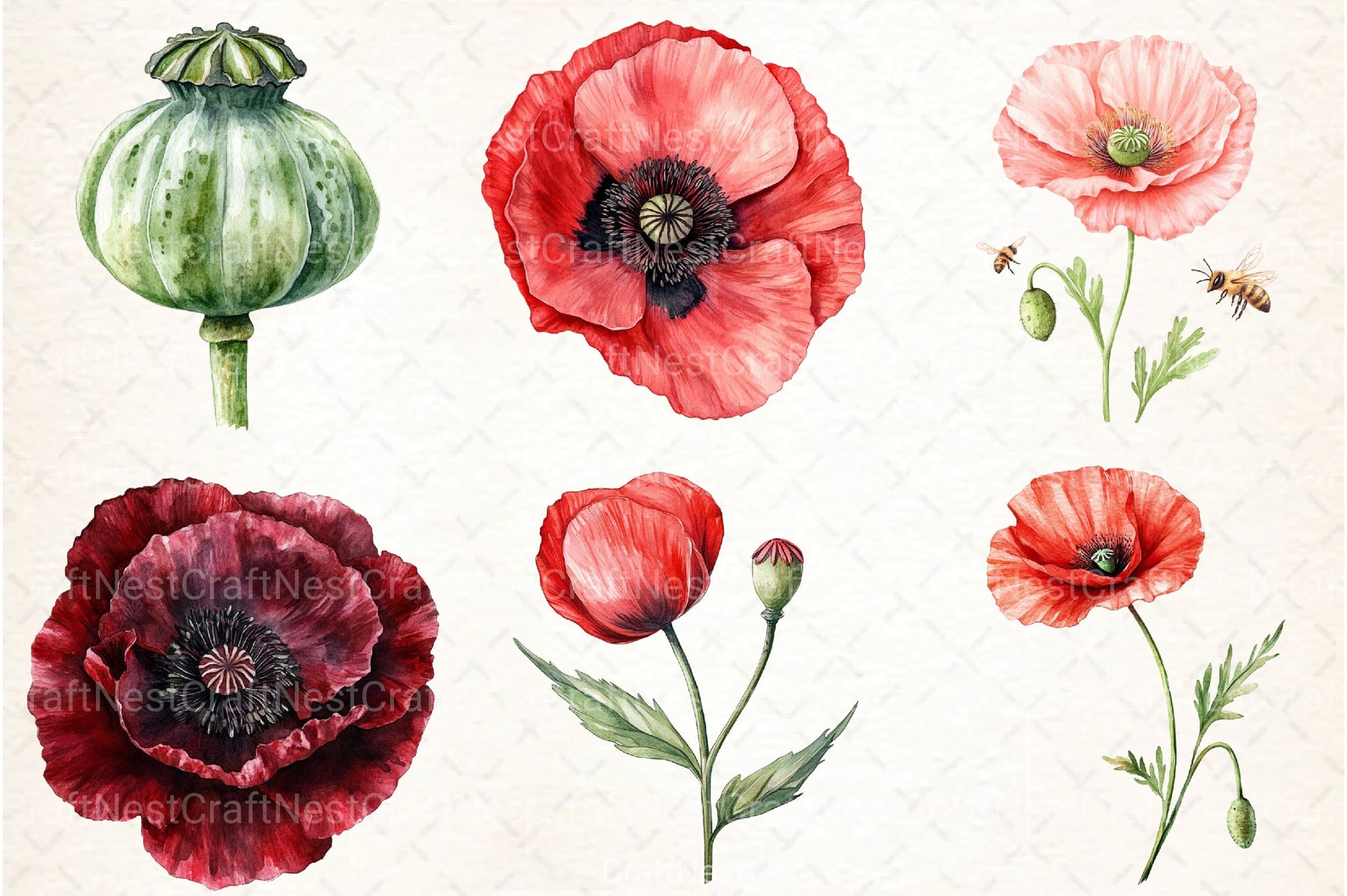 Poppy Flowers Clipart Bundle 888 - CraftNest - Digital Crafting and Art