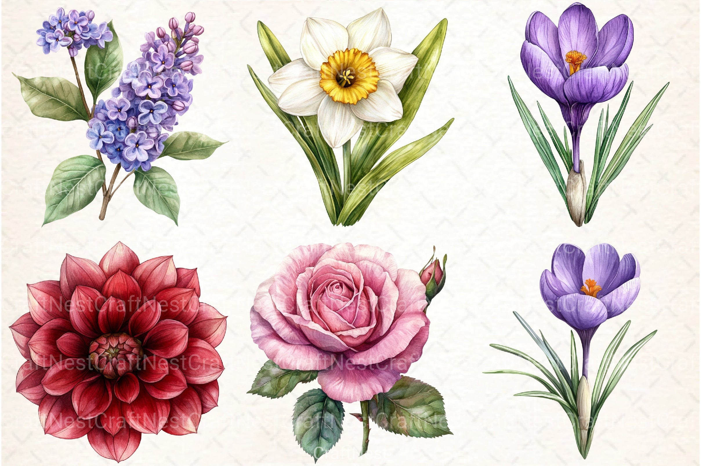 Flowers Vol Clipart Bundle - CraftNest - Digital Crafting and Art