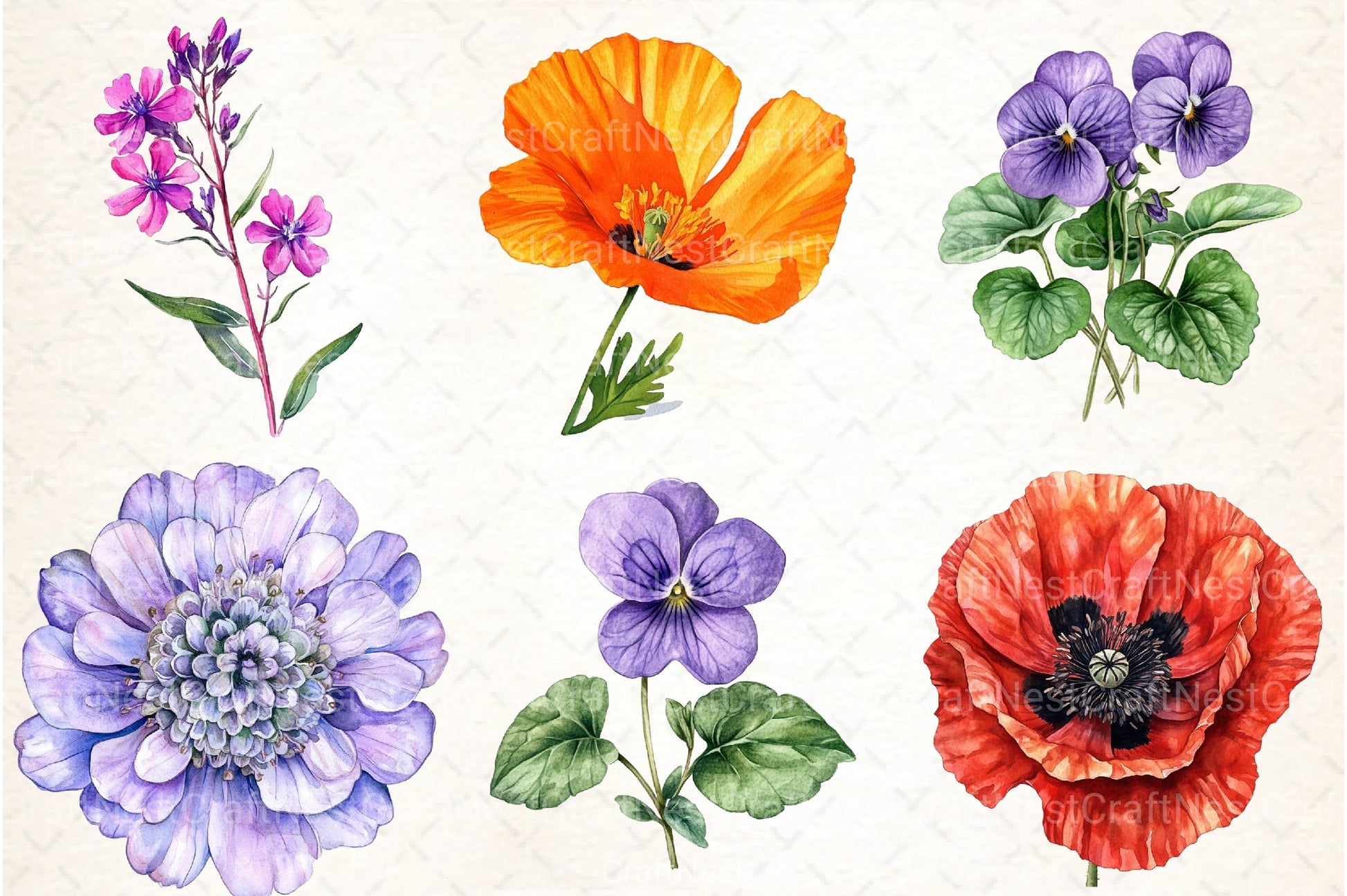 Wild Flowers Clipart Bundle 132 - CraftNest - Digital Crafting and Art