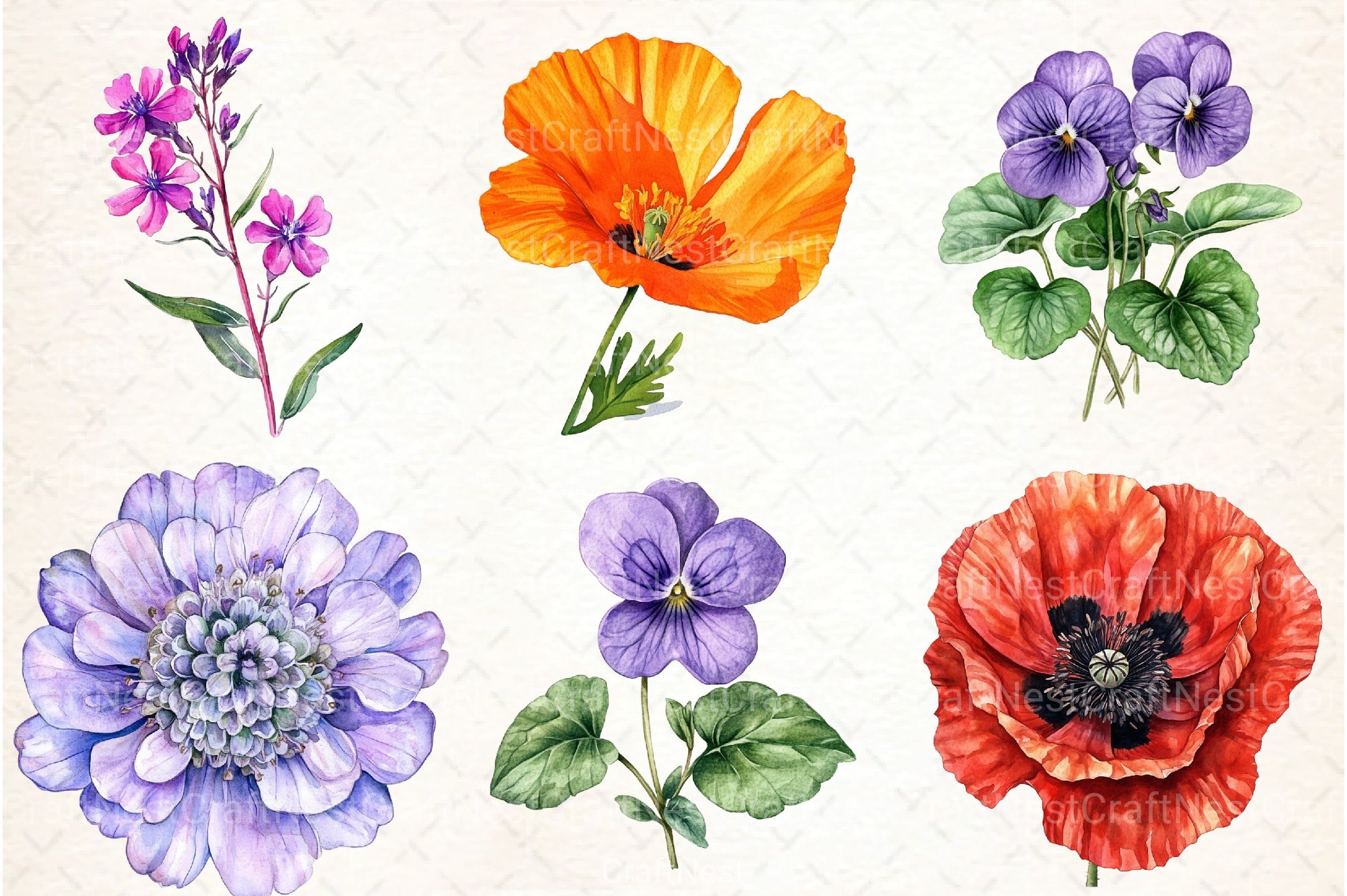 Wild Flowers Clipart Bundle 132 - CraftNest - Digital Crafting and Art