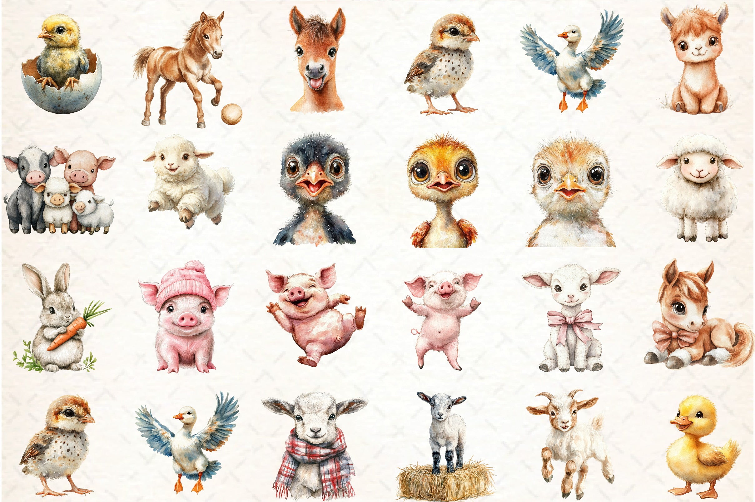 Funny Matching Baby Farm Animals Clipart Bundle
