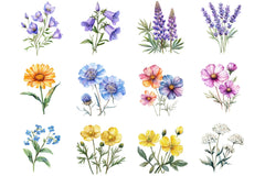 Wildflower Clipart Bundle - CraftNest - Digital Crafting and Art