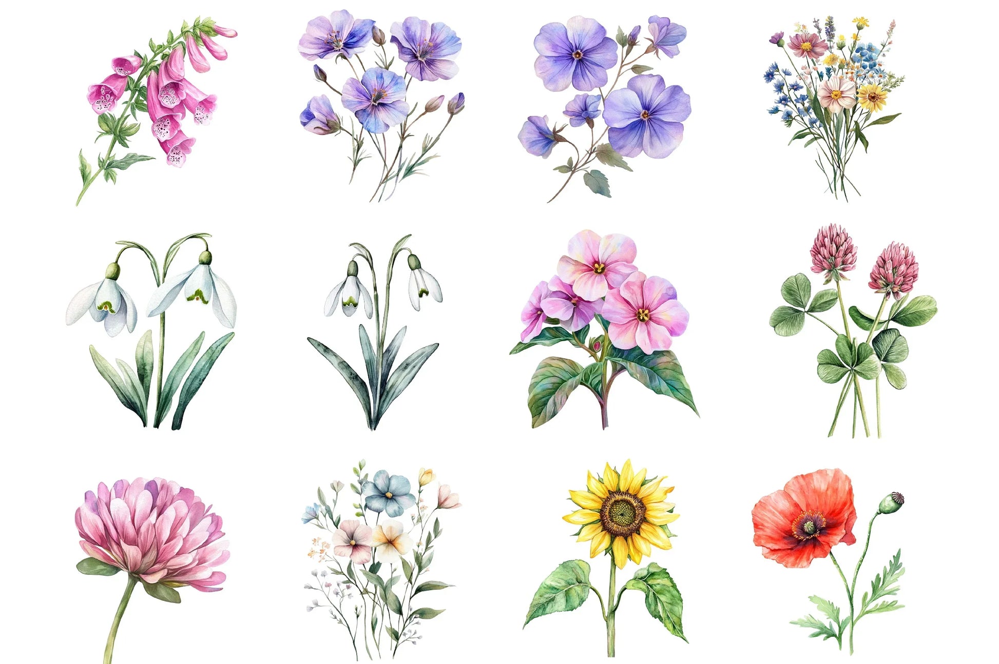 Wildflower Clipart Bundle - CraftNest - Digital Crafting and Art