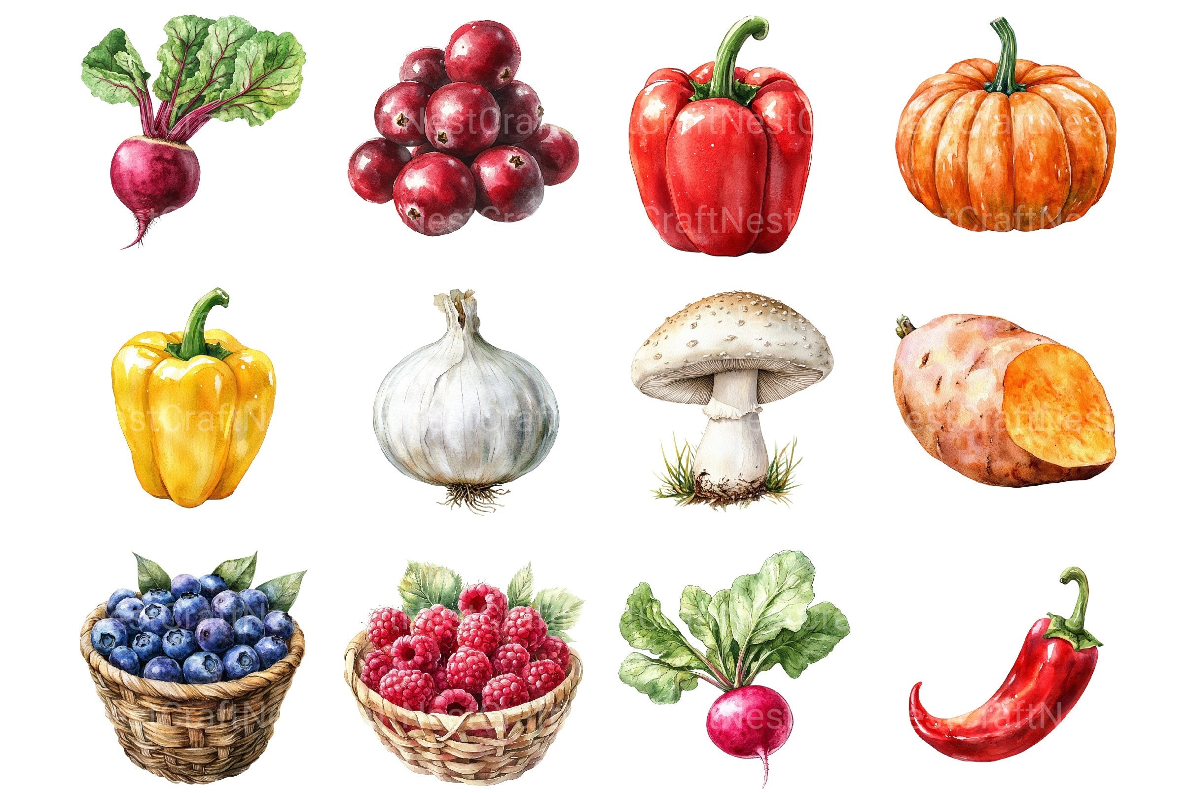 Fall Harvest Fruits & Veggies Clipart Bundle - CraftNest - Digital Crafting and Art