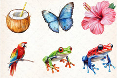 Rainforest Vintage Nature Clipart Bundle - CraftNest - Digital Crafting and Art
