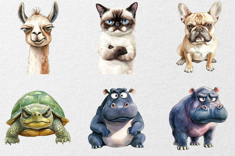 Grumpy Animals Clipart Bundle - Funny Collection - CraftNest - Digital Crafting and Art