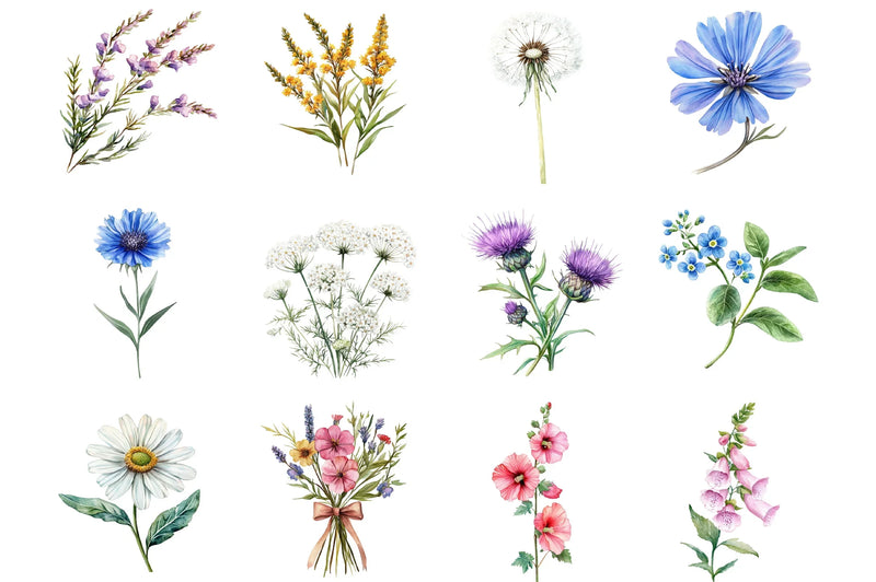 Wildflower Clipart Bundle - CraftNest - Digital Crafting and Art
