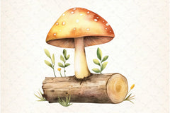 Mushrooms Clipart Bundle - CraftNest - Digital Crafting and Art
