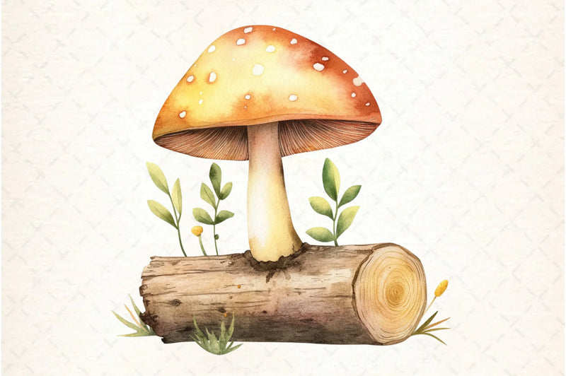 Mushrooms Clipart Bundle - CraftNest - Digital Crafting and Art