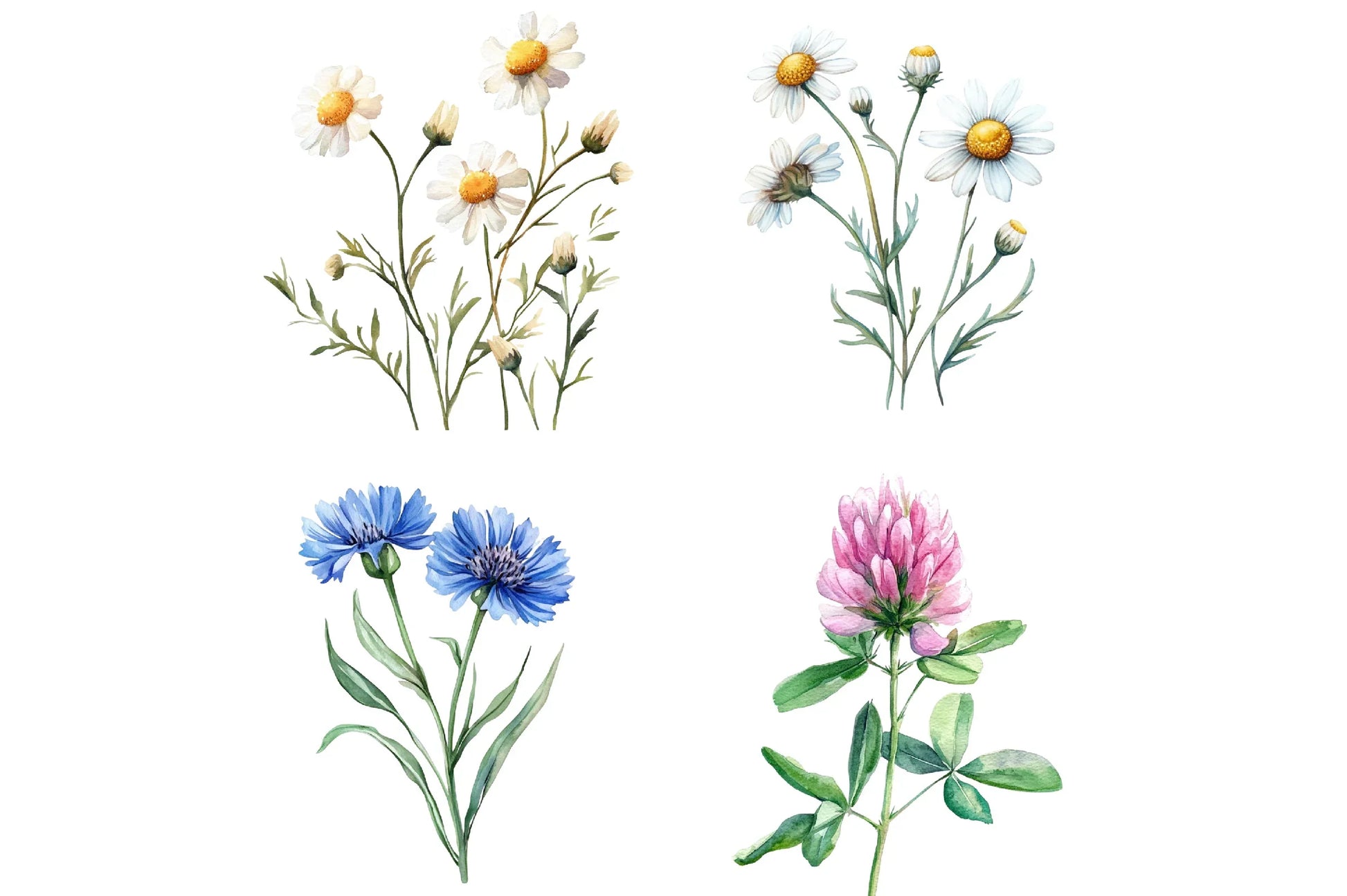 Wildflower Clipart Bundle - CraftNest - Digital Crafting and Art