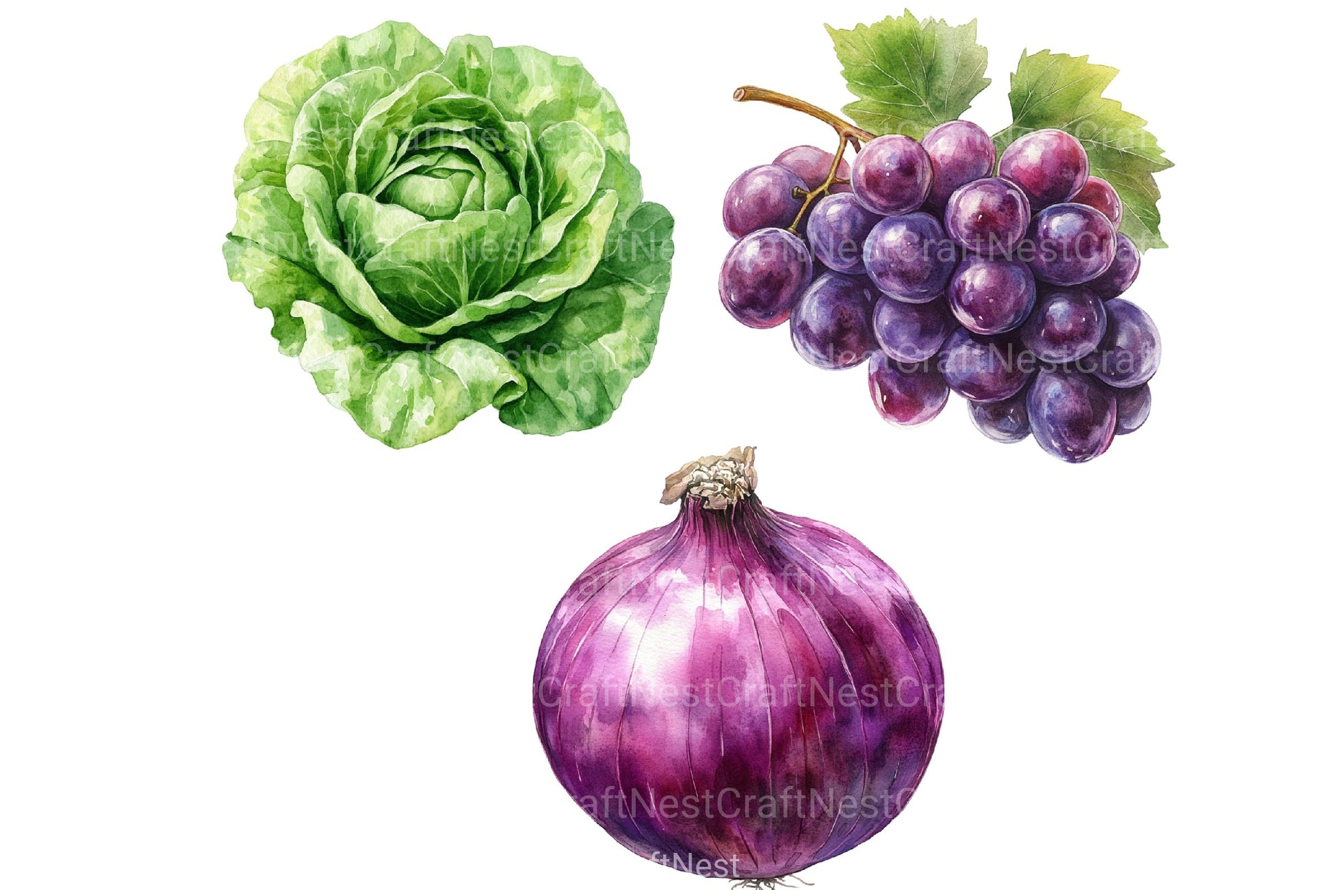 Fall Harvest Fruits & Veggies Clipart Bundle - CraftNest - Digital Crafting and Art