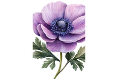 Lavender & Pink Flowers Clipart Bundle 4 - CraftNest - Digital Crafting and Art