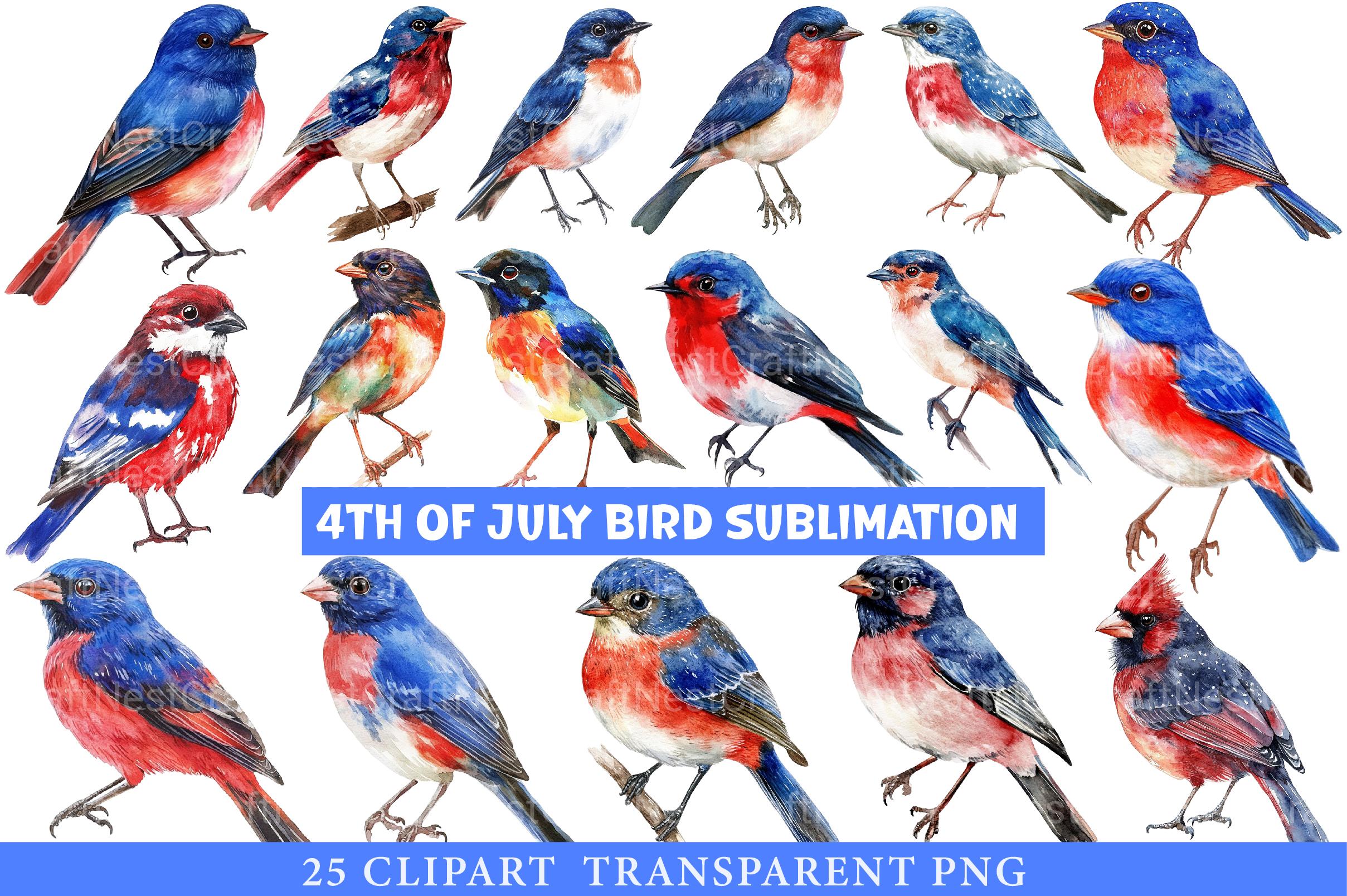 4th of July Bird Sublimation Clipart - CraftNest - Digital Crafting and Art
