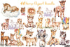 Premium Horse Clipart Bundle