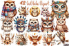 Boho Owl Clipart Bundle 99